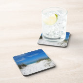 フロリダ州ブラデントンの砂丘 コースター (右側)