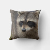 フロリダ州プロシオンローター、ラクーン クッション (裏面)