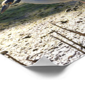 フロリダ州ヘロンの黄冠 ポスター (角)