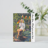 フロリダ州マイアミのオウム・ジャングル ポストカード (スタンド正面)