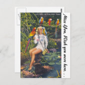 フロリダ州マイアミのオウム・ジャングル ポストカード (正面/裏面)