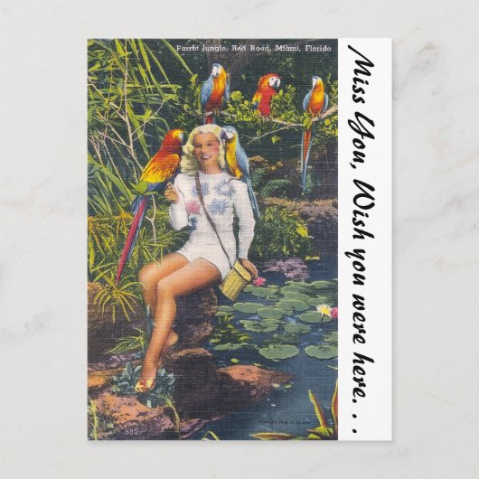 フロリダ州マイアミのオウム・ジャングル ポストカード (正面)