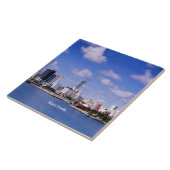 フロリダ州マイアミ タイル (側面)