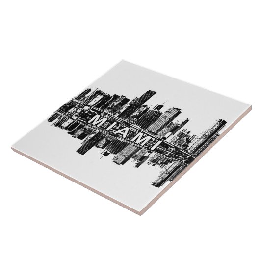 フロリダ州マイアミ タイル (側面)