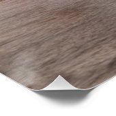 フロリダ州マイアミ ポスター (コーナー)