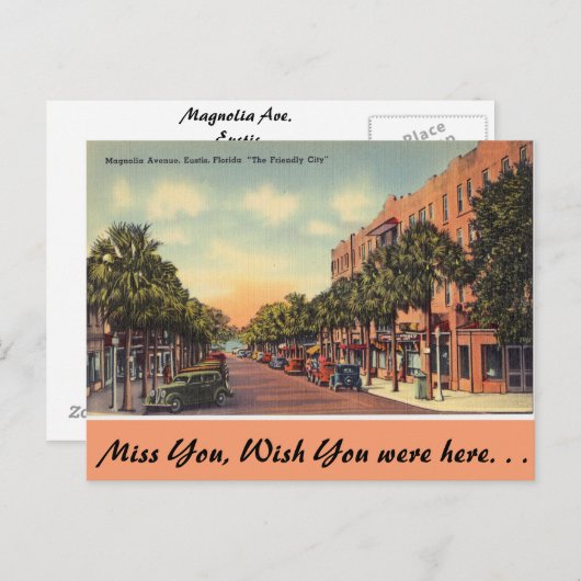 フロリダ州マグノリア・アヴェ。ユースティス ポストカード (正面/裏面)