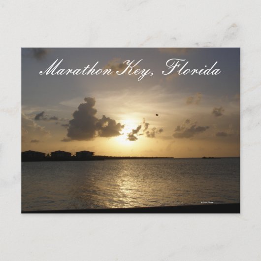 フロリダ州マラソン鍵 ポストカード (正面)