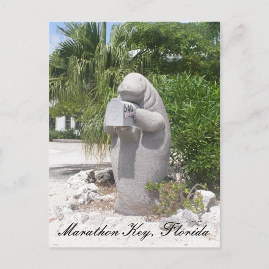 フロリダ州マラソン鍵 ポストカード (正面)