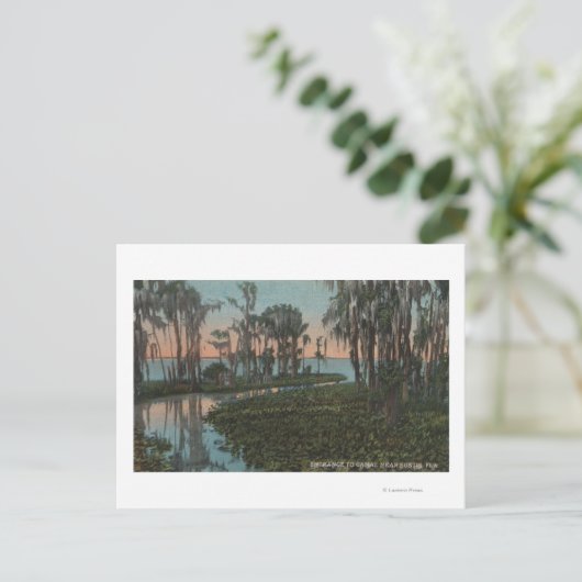 フロリダ州ユースティス – 湿気運河の景色 ポストカード (スタンド正面)