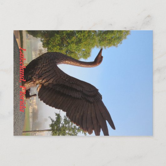 フロリダ州レイケランド航空の白鳥 ポストカード (正面)