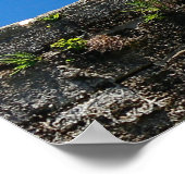 フロリダ州天然記念物カスティーリョ・デ・サン・マルコス ポスター (角)