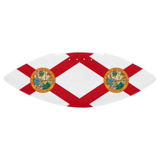 フロリダ州旗を持つ愛国的なアメリカンフットボール アメリカンフットボール (パネル)