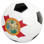 フロリダ州旗を持つ愛国的なサッカーボール サッカーボール (3/4)