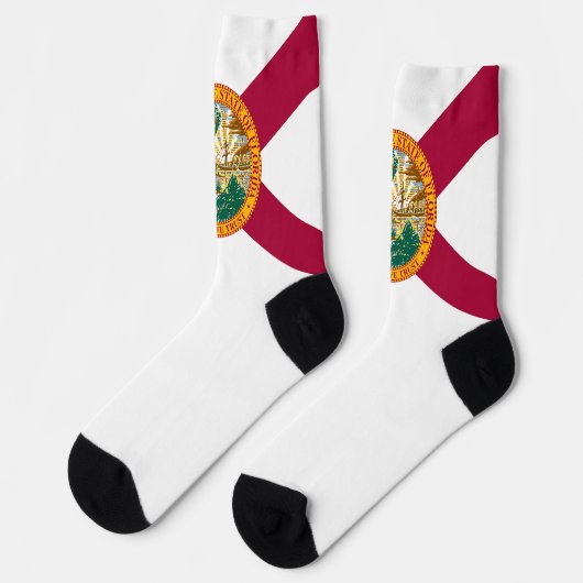 フロリダ州旗フロリ誇りを持ったディアンおもしろい ソックス (左)