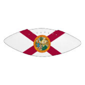 フロリダ州旗 アメリカンフットボール (パネル)