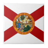 フロリダ州旗 タイル (正面)