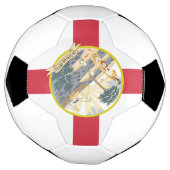 フロリダ州旗：フラリディア諸島の太陽の州 サッカーボール (回転)