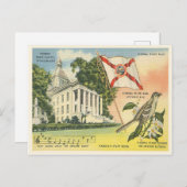 フロリダ州記号ヴィンテージタラハシー ポストカード (正面/裏面)