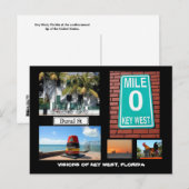 フロリダ州鍵西部のビジョン ポストカード (正面/裏面)