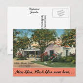 フロリダ州、ブラデントン、ホワイトヘロン・グローブス ポストカード (正面/裏面)