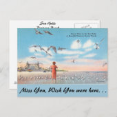 フロリダ州,海のカモメ,デイトナビーチ ポストカード (正面/裏面)