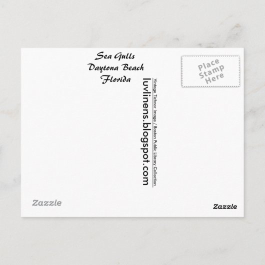 フロリダ州,海のカモメ,デイトナビーチ ポストカード (裏面)