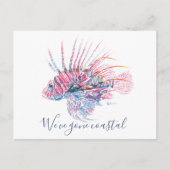 フロリダ新しいアドレスカード水色の熱帯魚 ポストカード (正面)