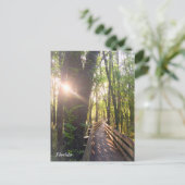 フロリダ朝日の出はがき ポストカード (スタンド正面)