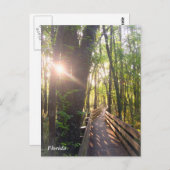 フロリダ朝日の出はがき ポストカード (正面/裏面)