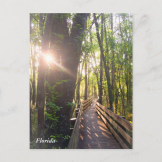 フロリダ朝日の出はがき ポストカード