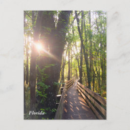 フロリダ朝日の出はがき ポストカード