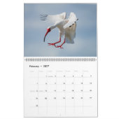 フロリダ水鳥カレンダー2023-2024 カレンダー (2月 2027)