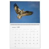 フロリダ水鳥カレンダー2023-2024 カレンダー (1月 2027)