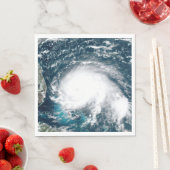 フロリダ沖のハリケーン紙 スタンダードランチョンナプキン (インサイチュ)