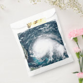 フロリダ沖のハリケーン フェイバーバッグ (封をした状態)