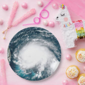 フロリダ沖ハリケーン紙プレート ペーパープレート (パーティー)