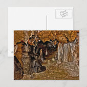 フロリダ洞窟I. ポストカード (正面/裏面)