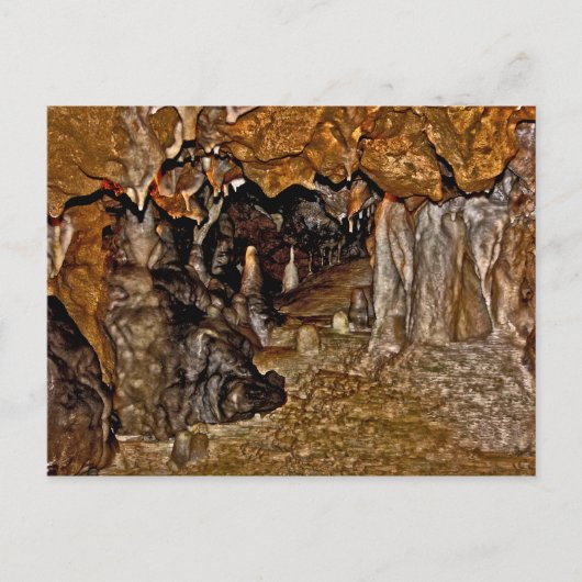 フロリダ洞窟I. ポストカード (正面)