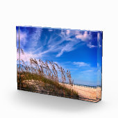 「フロリダ海のオート麦」フォトブロック フォトブロック (右)