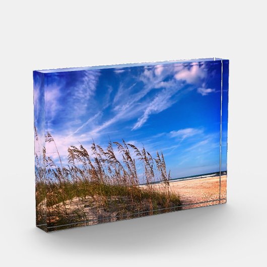 「フロリダ海のオート麦」フォトブロック フォトブロック (左)