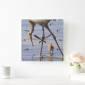 フロリダ湖でヒヨコ(子馬)を持つサンドヒルクレーン スクエア壁時計 (ホーム)