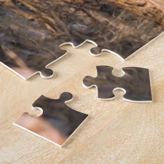 フロリダ湿地のアリゲーターとカラオ鳥 ジグソーパズル (側面)