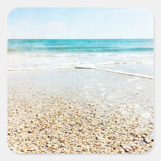 フロリダ熱帯ビーチ砂海波海シェル スクエアシール (正面)