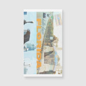 フロリダ磁石 (正面)