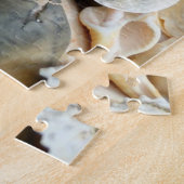 フロリダ稲妻ウェルクシーシェルパズル ジグソーパズル (側面)