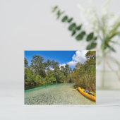 フロリダ自然はがき ポストカード (スタンド正面)