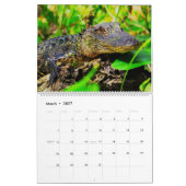 フロリダ野生動物カレンダー2020 カレンダー (3月 2027)