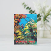 フロリダ鍵のフロリダリーフ ポストカード (スタンド正面)