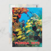 フロリダ鍵のフロリダリーフ ポストカード (正面/裏面)