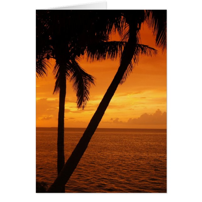 フロリダ鍵の夕日 (正面)